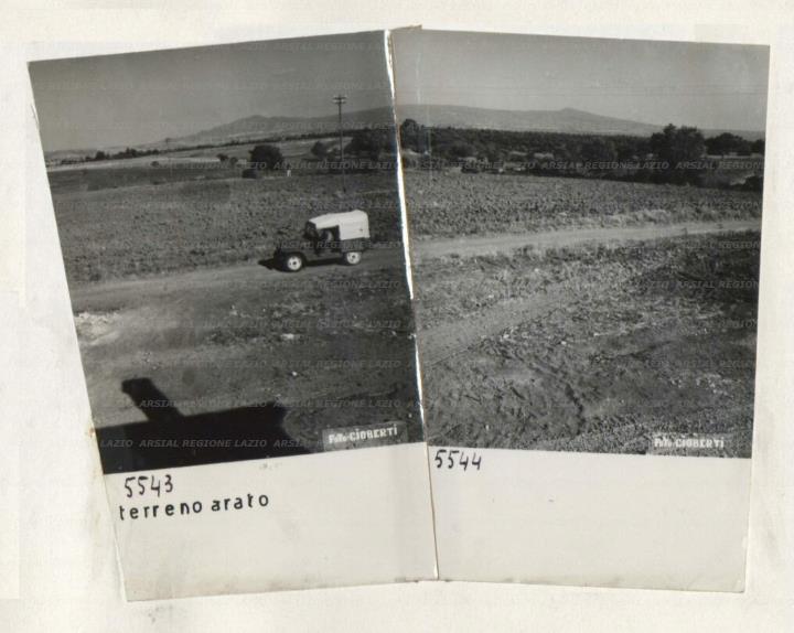 ARSIAL/ARS00172A87.jpg