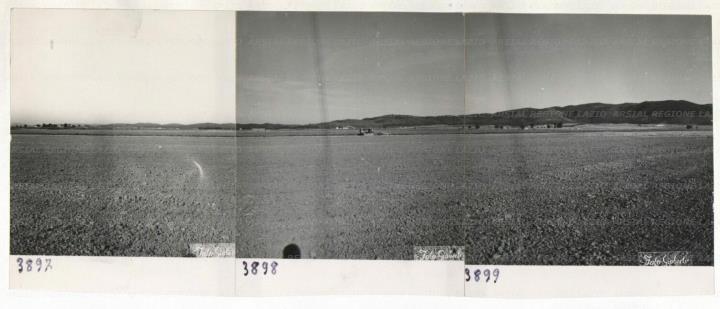 ARSIAL/ARS00172A89.jpg