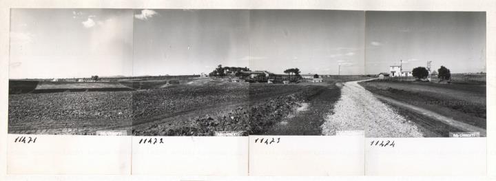 ARSIAL/ARS00172A93.jpg