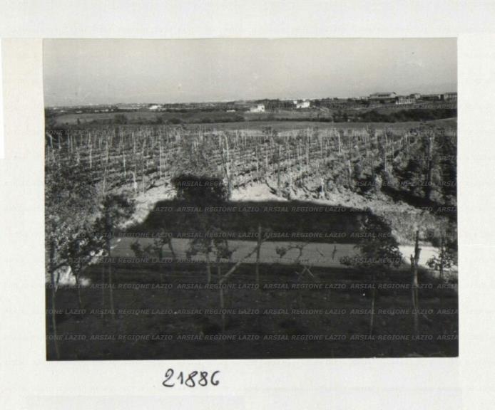 ARSIAL/ARS00172AA8.jpg