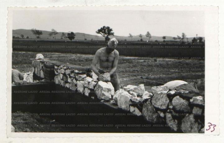 ARSIAL/ARS00172AB8.jpg