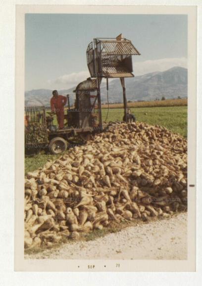 ARSIAL/ARS00172AB9.jpg