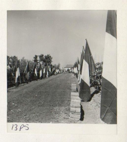 ARSIAL/ARS00172BD8.jpg