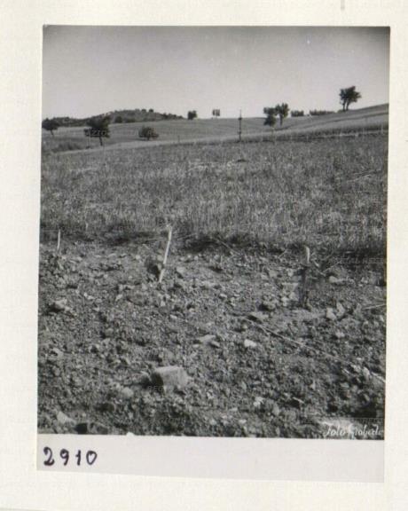 ARSIAL/ARS00172C09.jpg