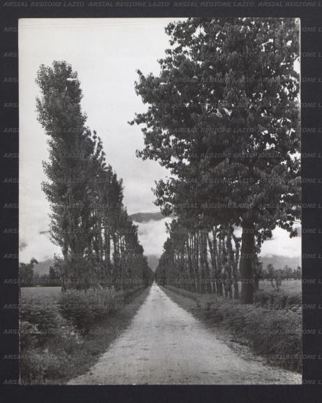 ARSIAL/ARS00172E81.jpg