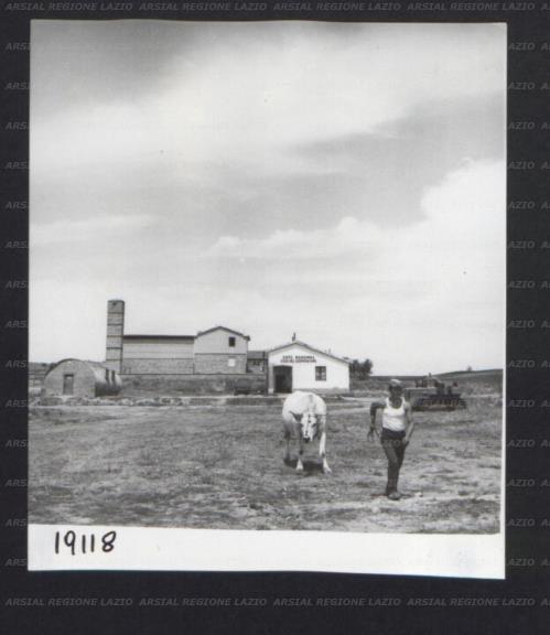 ARSIAL/ARS00172EF9.jpg