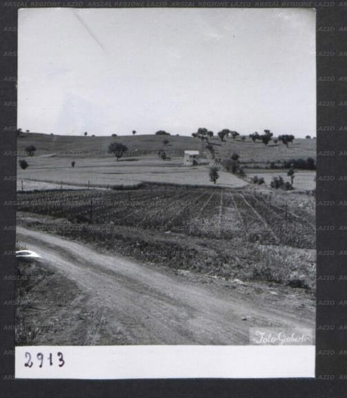 ARSIAL/ARS00172EFD.jpg