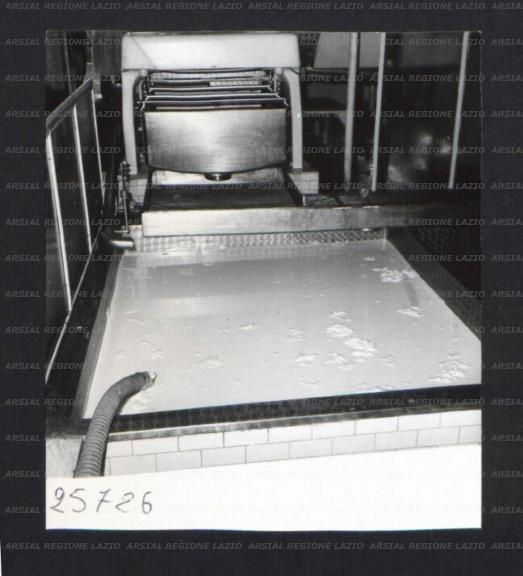 ARSIAL/ARS00172F00.jpg