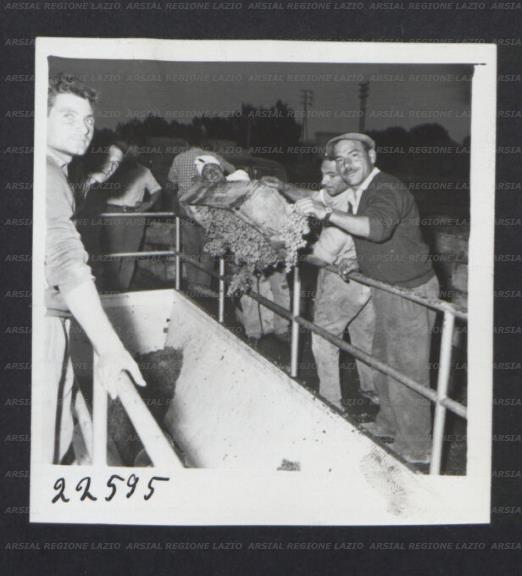 ARSIAL/ARS00172F0E.jpg