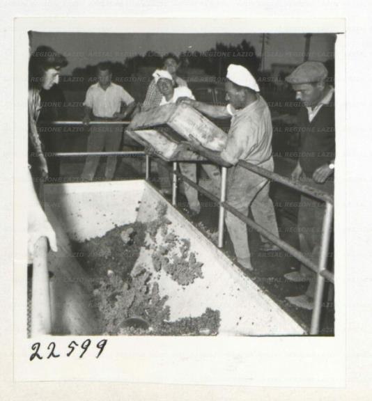 ARSIAL/ARS00172F17.jpg