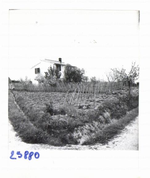 ARSIAL/ARS00172F2E.jpg