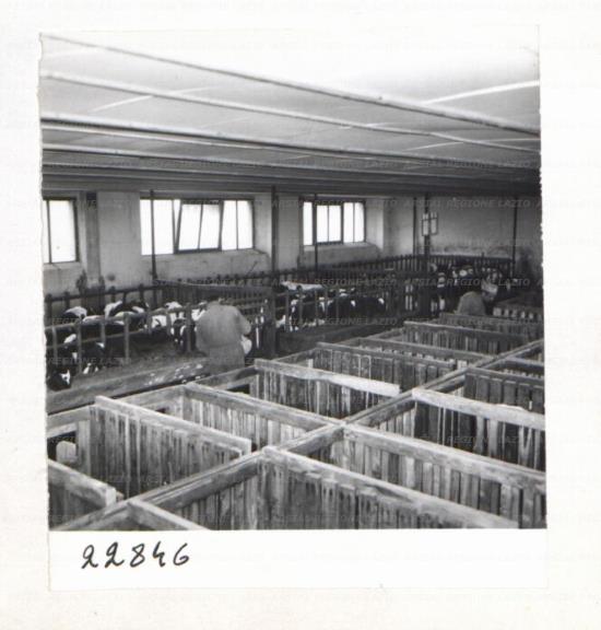 ARSIAL/ARS00172F4A.jpg
