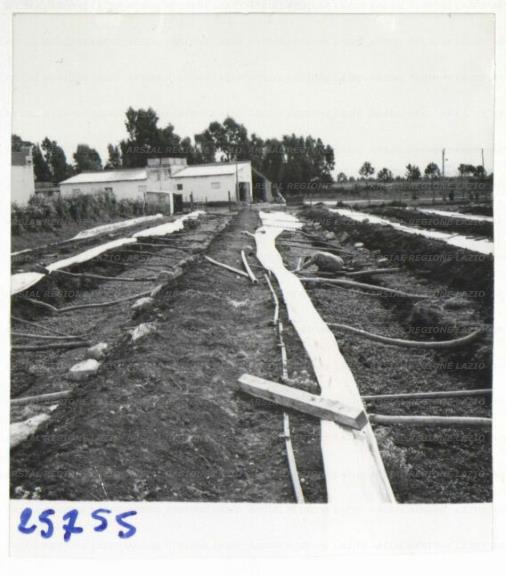 ARSIAL/ARS00172F5B.jpg