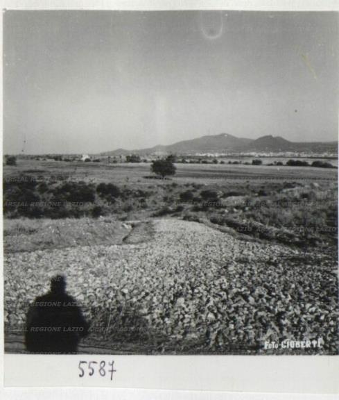 ARSIAL/ARS00172F5E.jpg