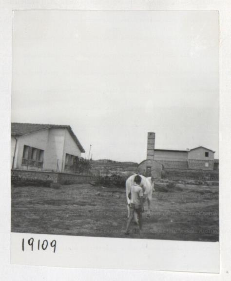 ARSIAL/ARS00172F6D.jpg