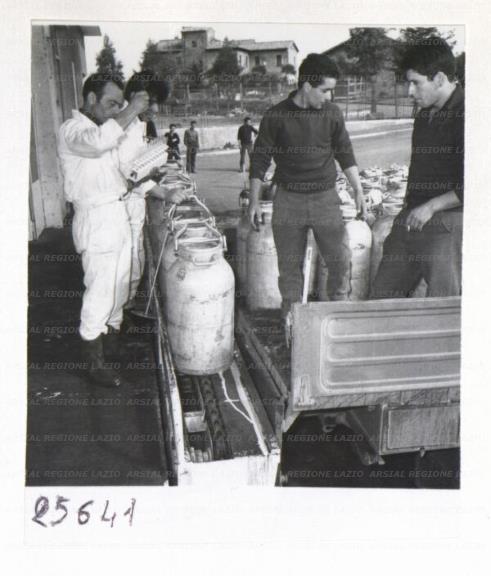 ARSIAL/ARS00172F71.jpg