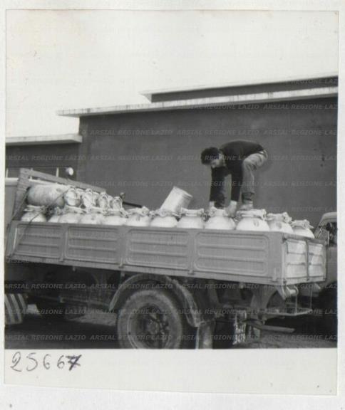 ARSIAL/ARS00172F75.jpg