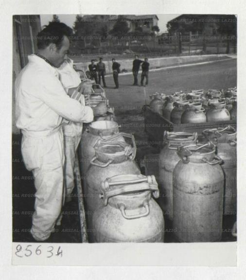 ARSIAL/ARS00172F77.jpg
