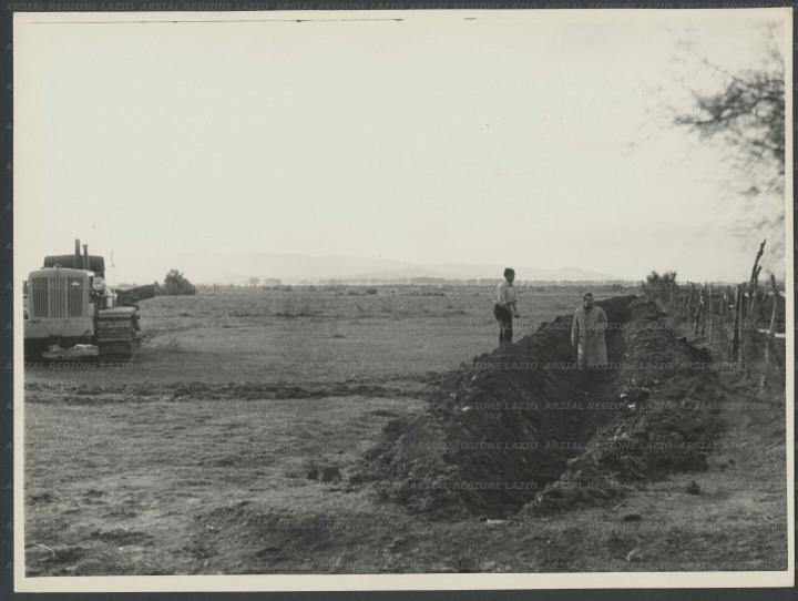 ARSIAL/ARS00172FF2.jpg