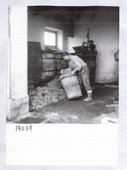 ARSIAL/ARS00173539.jpg