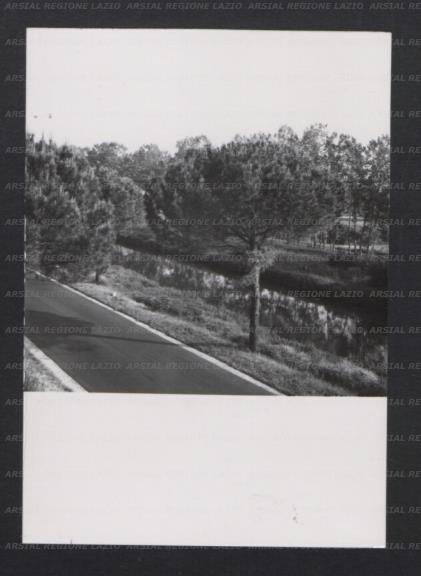 ARSIAL/ARS00173550.jpg
