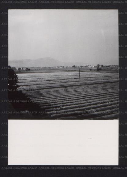 ARSIAL/ARS00173554.jpg