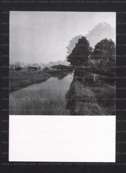 ARSIAL/ARS00173556.jpg