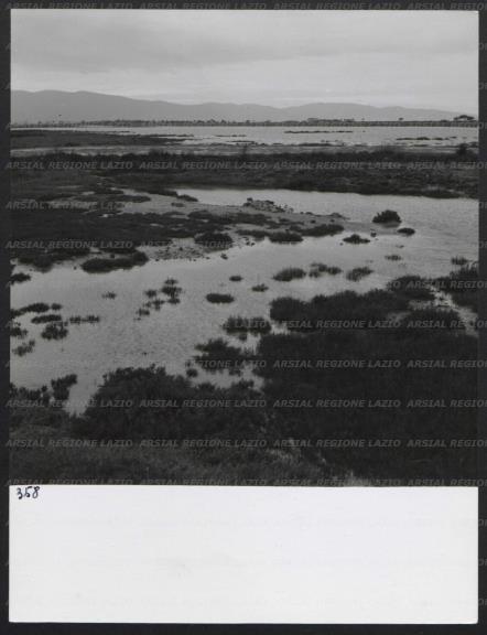 ARSIAL/ARS0017355C.jpg