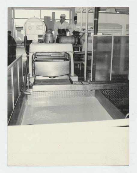 ARSIAL/ARS001735DD.jpg