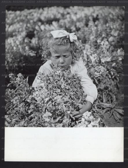ARSIAL/ARS00173661.jpg