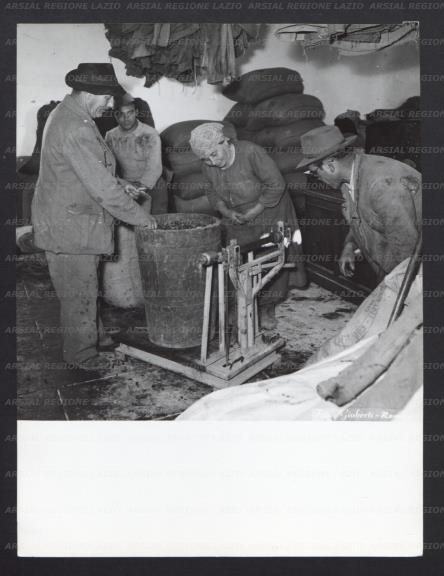 ARSIAL/ARS0017368E.jpg