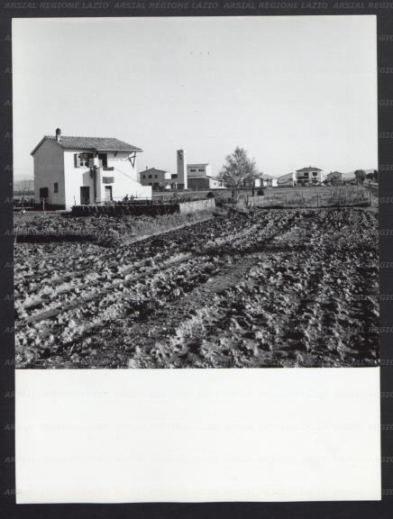 ARSIAL/ARS001736A1.jpg