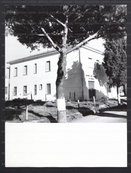ARSIAL/ARS001736A4.jpg