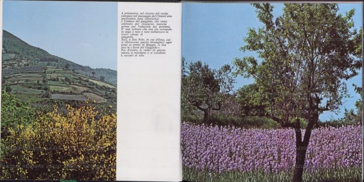 ARSIAL/ARS00173755.jpg