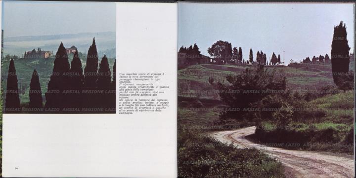 ARSIAL/ARS00173756.jpg