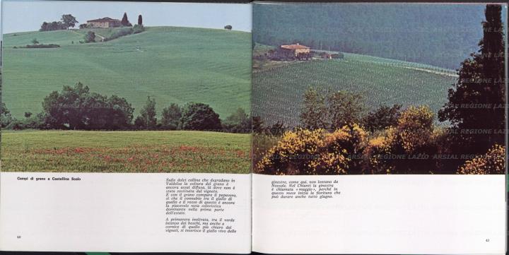 ARSIAL/ARS00173758.jpg