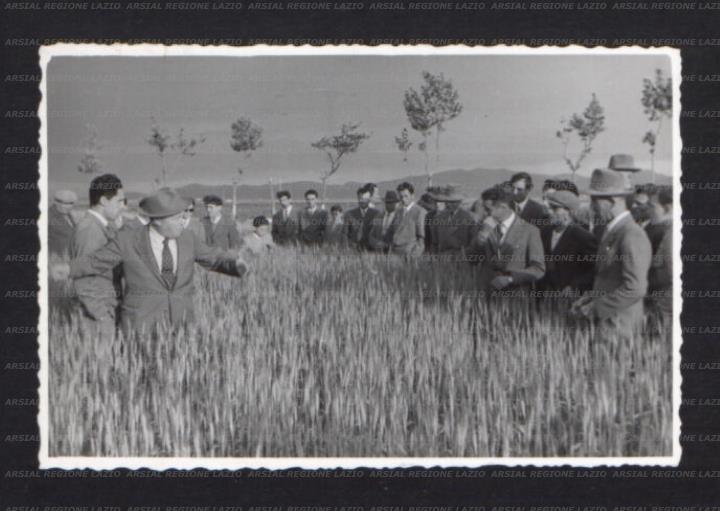 ARSIAL/ARS0017382C.jpg