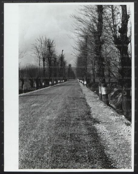 ARSIAL/ARS0017384E.jpg