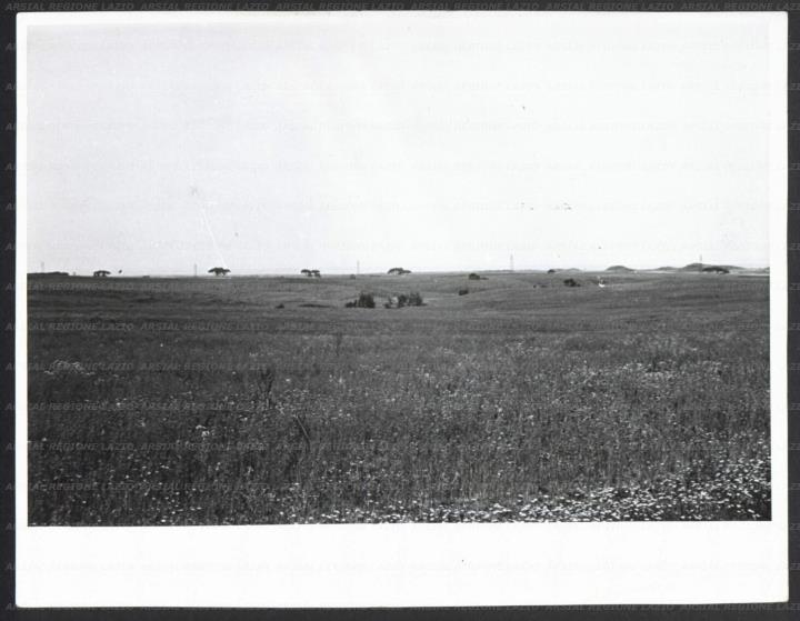 ARSIAL/ARS001738DF.jpg