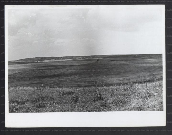 ARSIAL/ARS001739AE.jpg