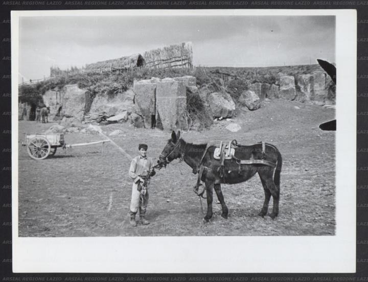 ARSIAL/ARS001739D8.jpg