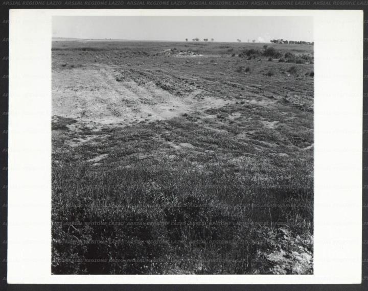 ARSIAL/ARS001739DD.jpg
