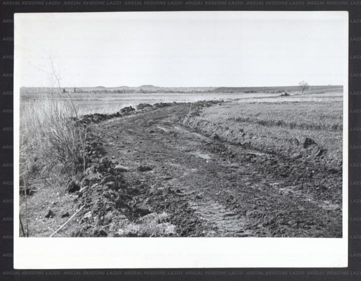 ARSIAL/ARS001739F0.jpg