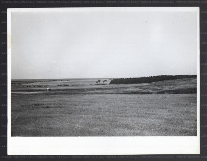 ARSIAL/ARS00173A09.jpg