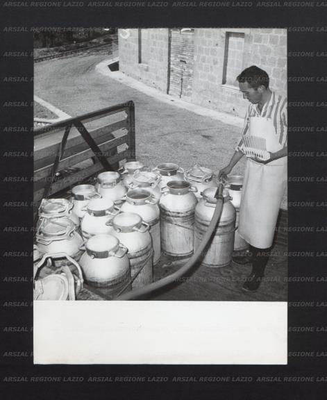 ARSIAL/ARS00173A68.jpg