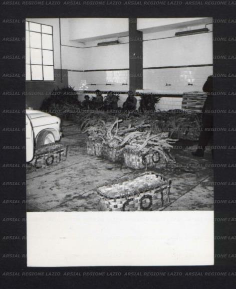 ARSIAL/ARS00173AD2.jpg