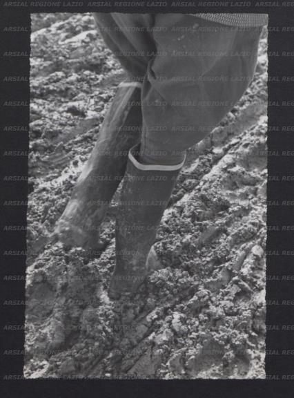 ARSIAL/ARS00173B30.jpg