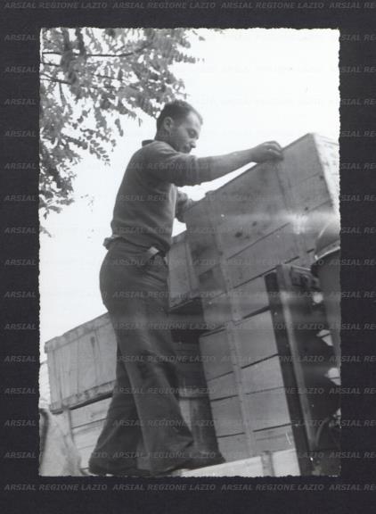 ARSIAL/ARS00173B67.jpg
