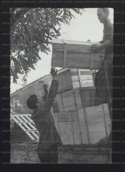 ARSIAL/ARS00173B83.jpg