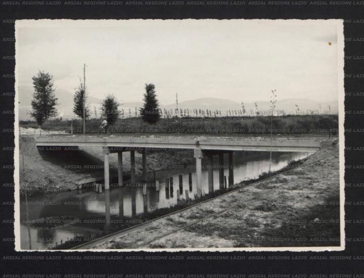 ARSIAL/ARS00173BC0.jpg